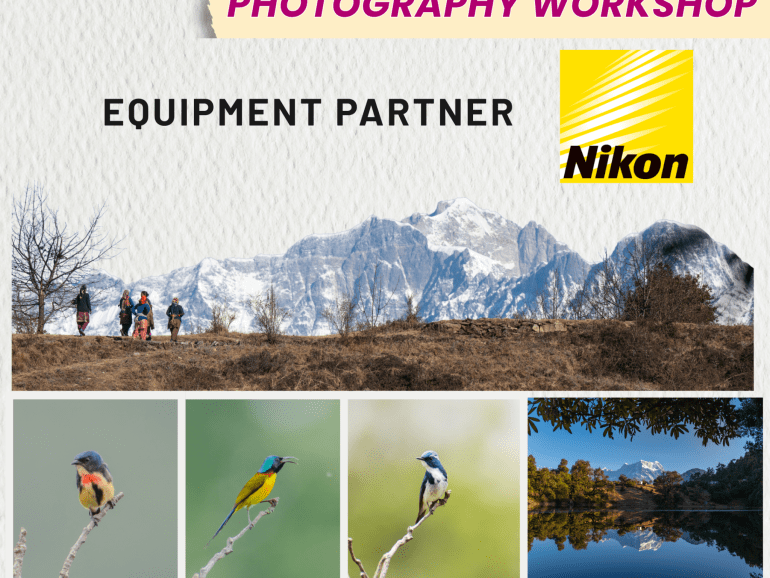 Photography & Birding Workshop